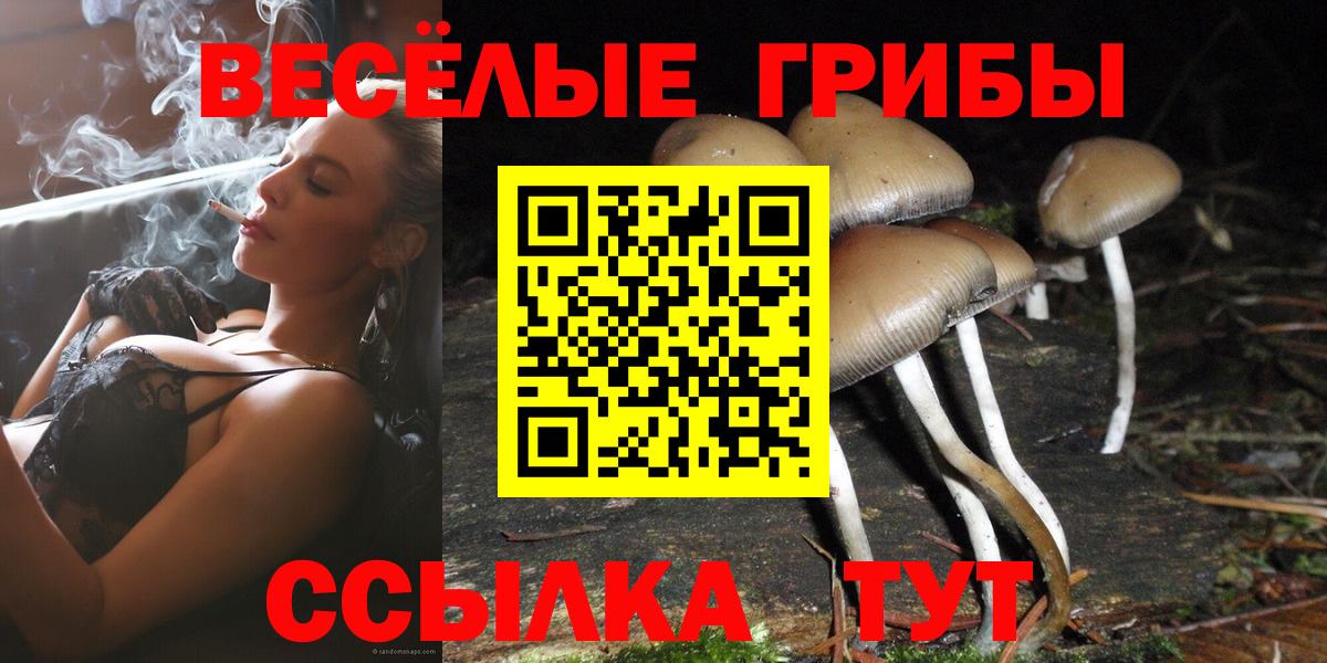 Псилоцибиновые грибы ЛСД  Вход с VPN  Невинномысск 