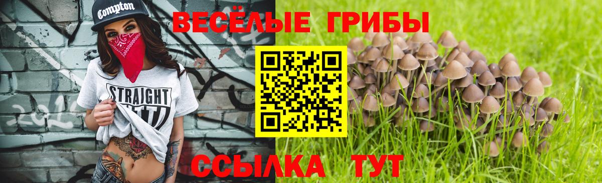 Псилоцибиновые грибы прущие грибы Невинномысск